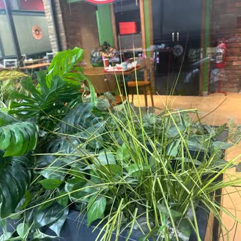 Saloon Burger Hizmet Ve İlgi