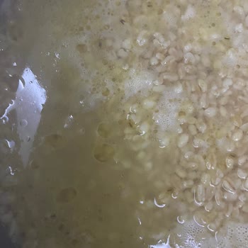 Duru Bulgur Duru Böceklenme Sorunu