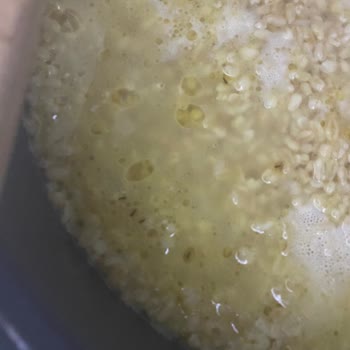 Duru Bulgur Duru Böceklenme Sorunu