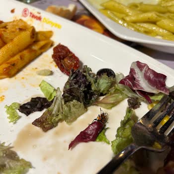 Tavuk Dünyası Salatasında Böcek Çıkması!