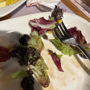 Tavuk Dünyası Salatasında Böcek Çıkması!