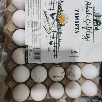 A101 Yosunlaşmış Yumurta Satması İade Almamaları