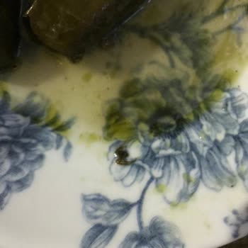 A101 Konserve Yiyecekten Örümcek Çıktı