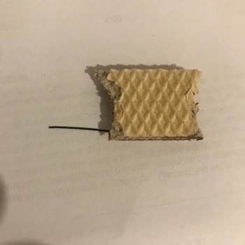 Eti Gıda Eti Hoşbeş Gofret İçinden Çıkan Yabancı Cisim