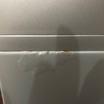 Beko Çamaşır Makinesi Boya Atması Paslanma