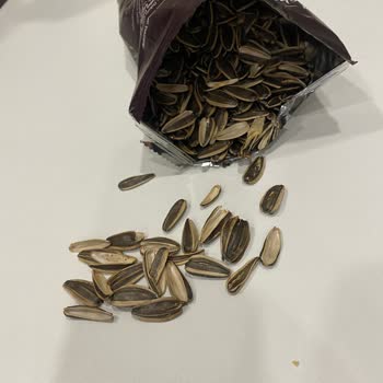 Çerezya Çekirdek Paketindeki Hayal Kırıklığı