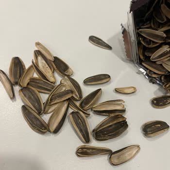 Çerezya Çekirdek Paketindeki Hayal Kırıklığı