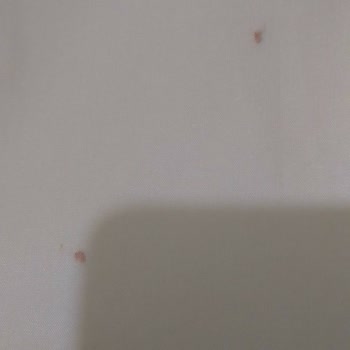 Rabia Collection (Instagram: rabiaferacecollection)   İade Edilmeyen Ürün!