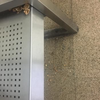 Metro İstanbul Ceviz Kabuklarının Mevcudiyeti
