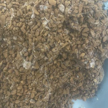 Nescafe Blend Son Tüketim Tarihi Geçmeden Bozuldu.