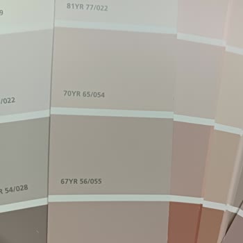 Marshall'ın Katalog İle Duvardaki Renk Farkı Sorunu