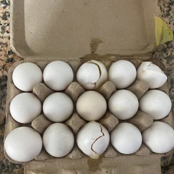 Şok Marketler Şok Pişmanlıktır Her Şey Kırık