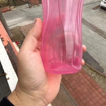 Tupperware Suluk Küf Problemi