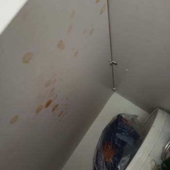 Promalt İçeceğin Üstü Patladı.