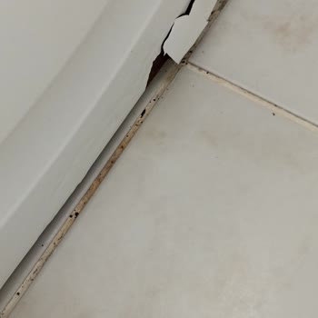 Bosch Çamaşır Makinesi Çürüme Sorunu