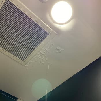 Opet'in Hijyensiz Ödüllü Tuvaleti