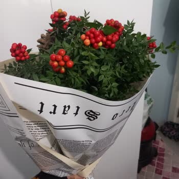 Viabonte Çiçeği Eve Çıkartmayan Ve Çiçekçinin Sahibi Olduğunu Söyleyen Satıcı!