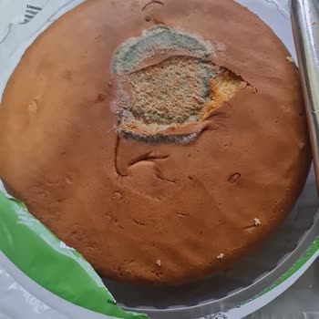 Migros Bozuk Ürün UNO Pastaban