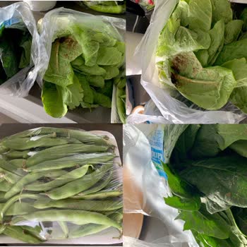 Metro Grossmarket Online Sipariş Fiyaskosu