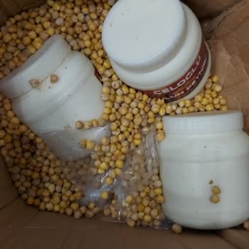 Çeloğlu Kötü Ürünler, Patlamış Paketler, İlgisizlik