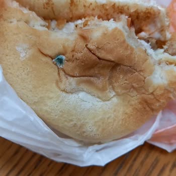 Burger King Ekmek Küflü Geldi
