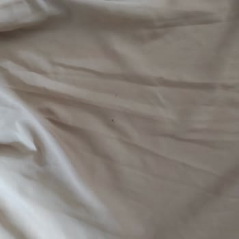 _perdemia (Instagram) _perdemia Dan Perde Aldım