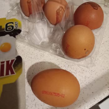 BİM Organik Mi? Kümes Mi?