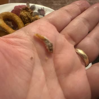 Lezita Çıtır Kıtır Piliç Filetodan Kemik Çıktı