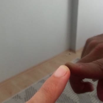 Doğtaş Mobilya Satış Sonrası Hizmet Terbiyesizliği