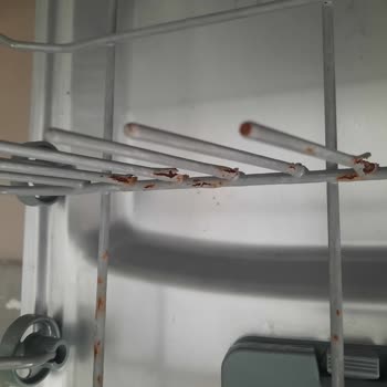 Teka Dw 602 S Bulaşık Makinesi Pas Şikayeti