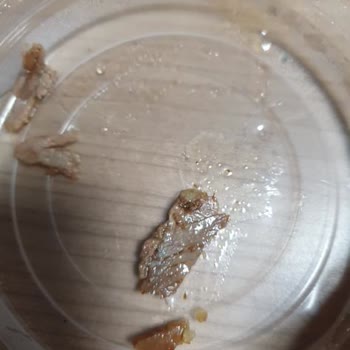 Köfteci Yusuf’un Yeşil Döneri