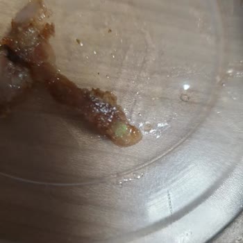 Köfteci Yusuf’un Yeşil Döneri