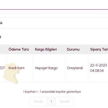 Puzzlesepeti.com 20 Gündür Siparişim Gönderilmiyor