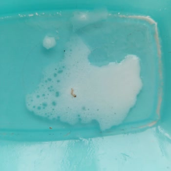 Hipp Organik Bebek Maması