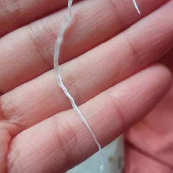Makbul Den Aldığım Şekerin İçinden Poşet Parçaları Çıktı