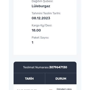 Sürat Kargo Teslimatında Sorun Getirmeme