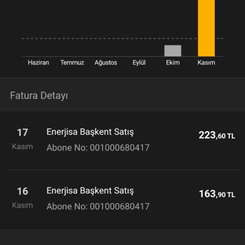 Enerjisa Başkent Elektrik Perakende Fazladan Kesilen Elektrik Faturası
