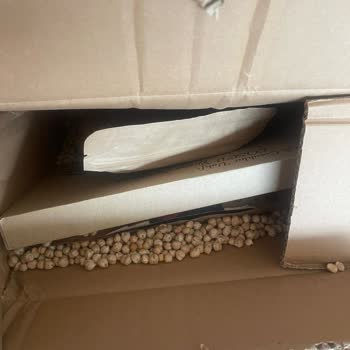 LSV Dükkan Paketlemedeki Düzelemeyen Özensizlikler