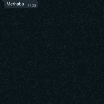 WhatsApp +62 Kodlu Numaradan Mesaj