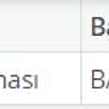 SGK Doğum Borçlanması Hatalı Başvuru