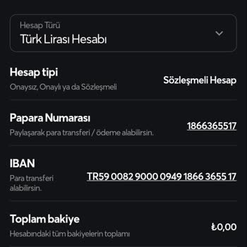 Burs Vaadiyle T. C. Bilgilerimin Ele Geçirilmesi