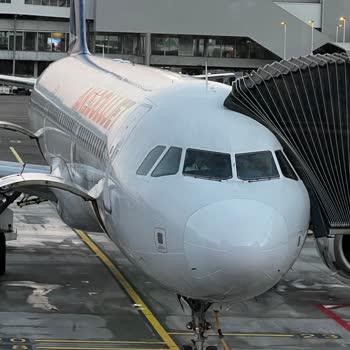 THY Den Aldığım Biletle Anadolu Jetle Uçuyorum