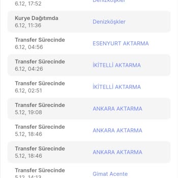 Sürat Kargo Saygınlığı Ve Teslimat Problemi