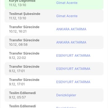 Sürat Kargo Saygınlığı Ve Teslimat Problemi