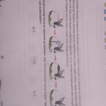 Muba Yayınları 8. Sınıf Deneme 2 Fen