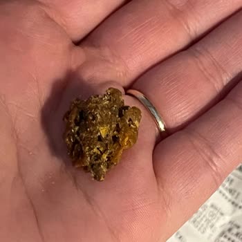 BİM Cipsin İçindeki Garip Şey