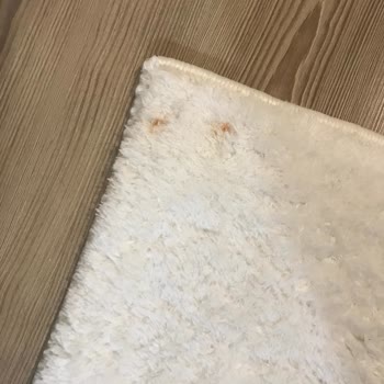 07 Yılmazlar Halı ve Koltuk Yıkama Sorumsuz Firma