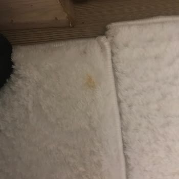 07 Yılmazlar Halı ve Koltuk Yıkama Sorumsuz Firma