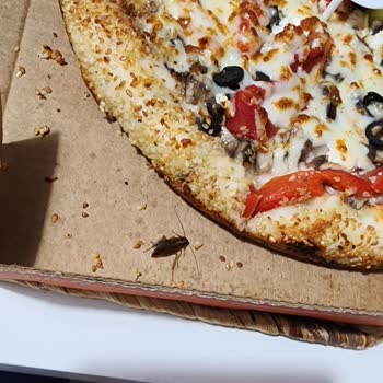 Little Caesars Verilen Siparişte Hijyen Sorunu