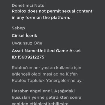 ROBLOX Ban 6 Ay Ym